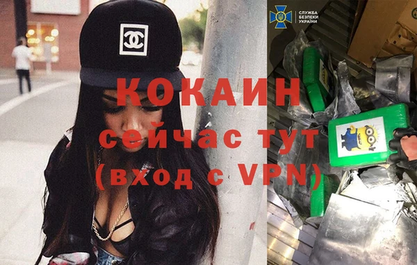 прущие крисы Алзамай