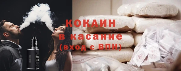 гидра Алексин