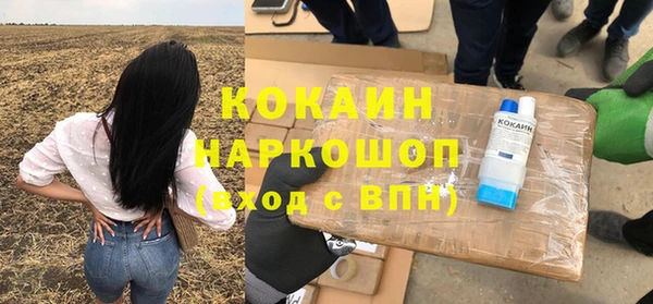 гидра Алексин