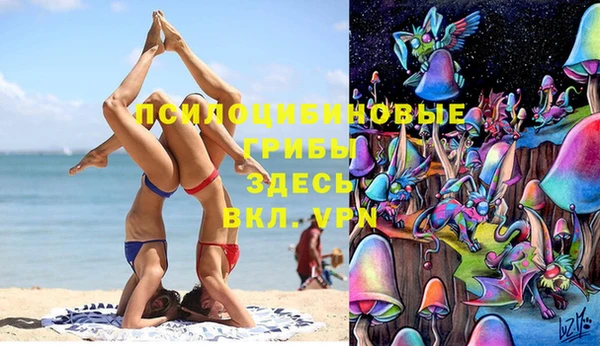 гидра Алексин